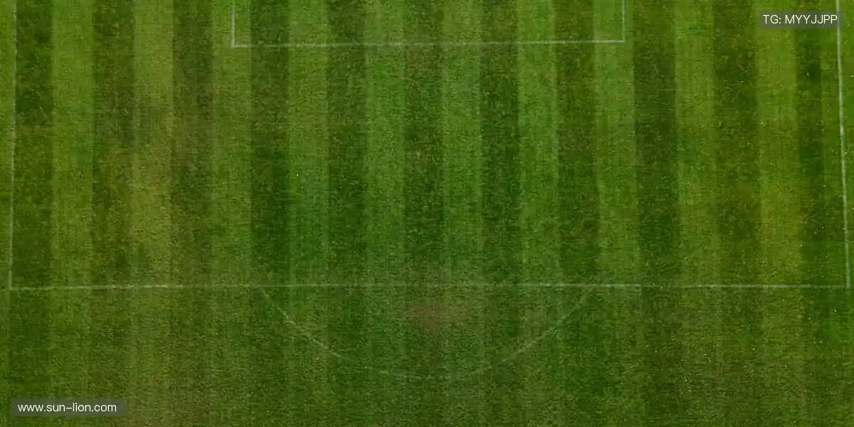 🏀 挑战极限，这里是梦想的起点！🌟